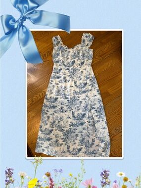 Blue and White Toile Midi Dress